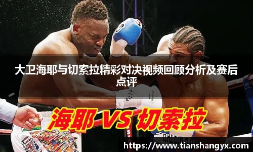 大卫海耶与切索拉精彩对决视频回顾分析及赛后点评